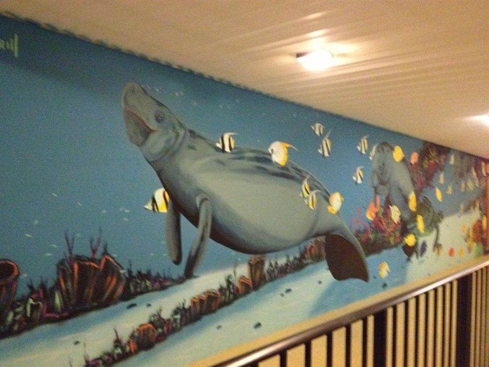 Dolphin Key Resort - Cape Coral Buitenkant foto